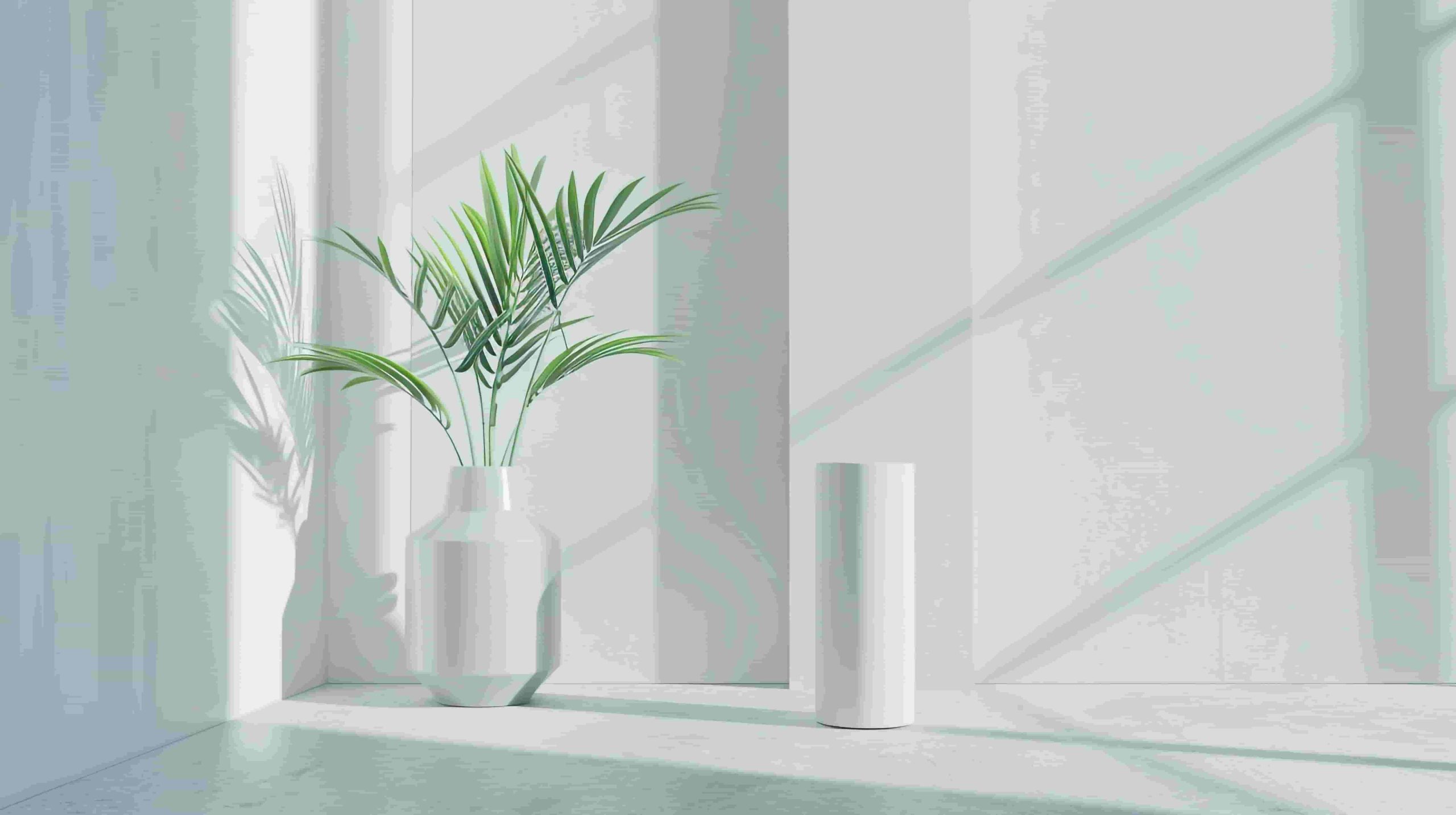 A green potted plant in a white vase sits next to a tall white cylindrical dehumidifier in a sunlit minimalist room, subtly echoing the debate: Dehumidifier vs AC—which cools better in OC? Shadows dance across the wall, enhancing the serene ambiance