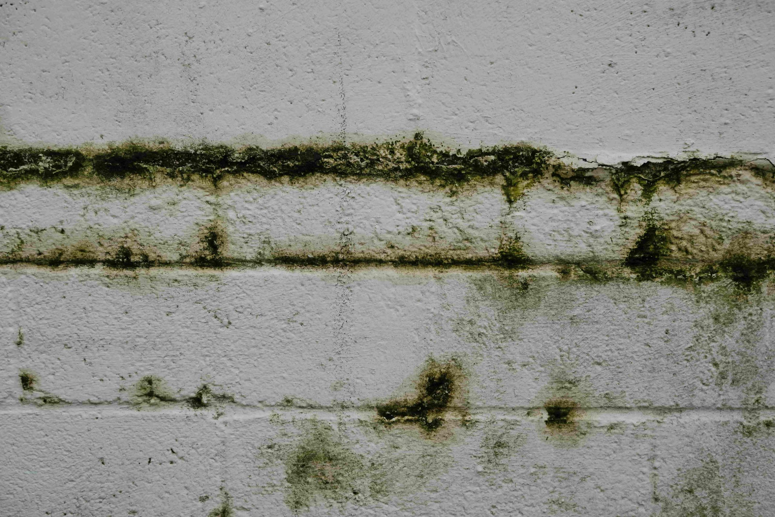 White concrete wall with horizontal streaks and patches of greenish black mold or mildew growth, raising concerns such as: What Are the Symptoms of Mold Exposure in Irvine? 